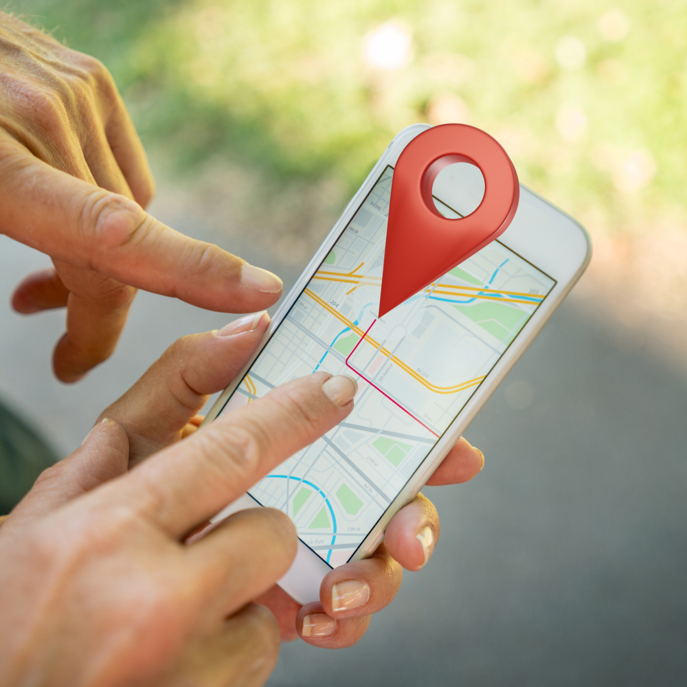 demens gps