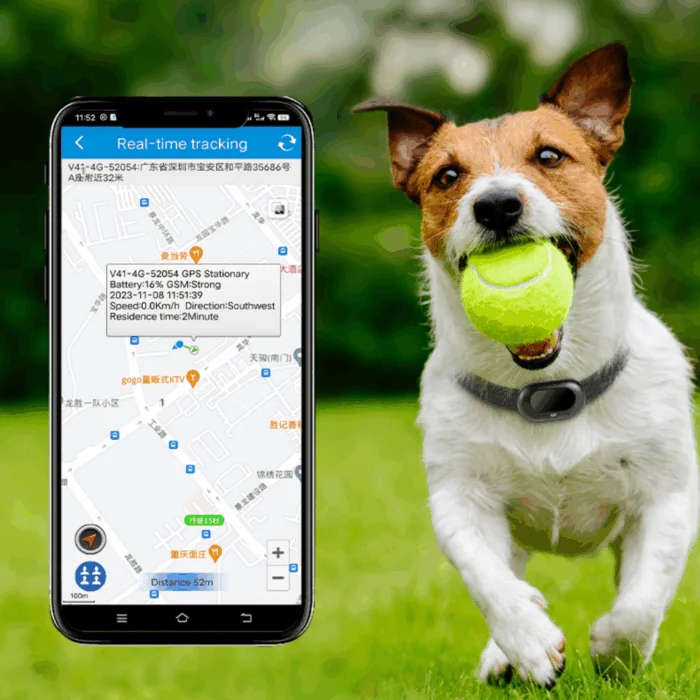 2G og 4G GPS tracker til hund og kat med gratis app - Billede 5