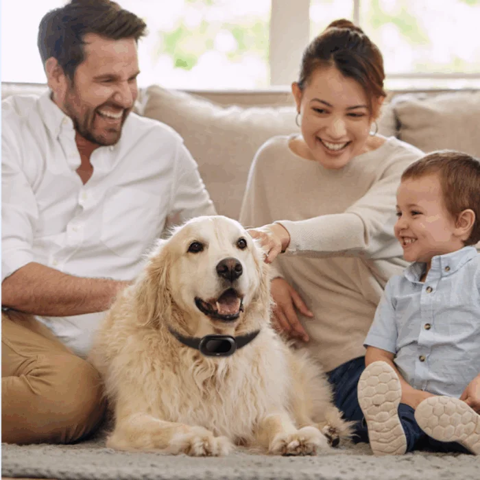 GPS tracker til kæledyr