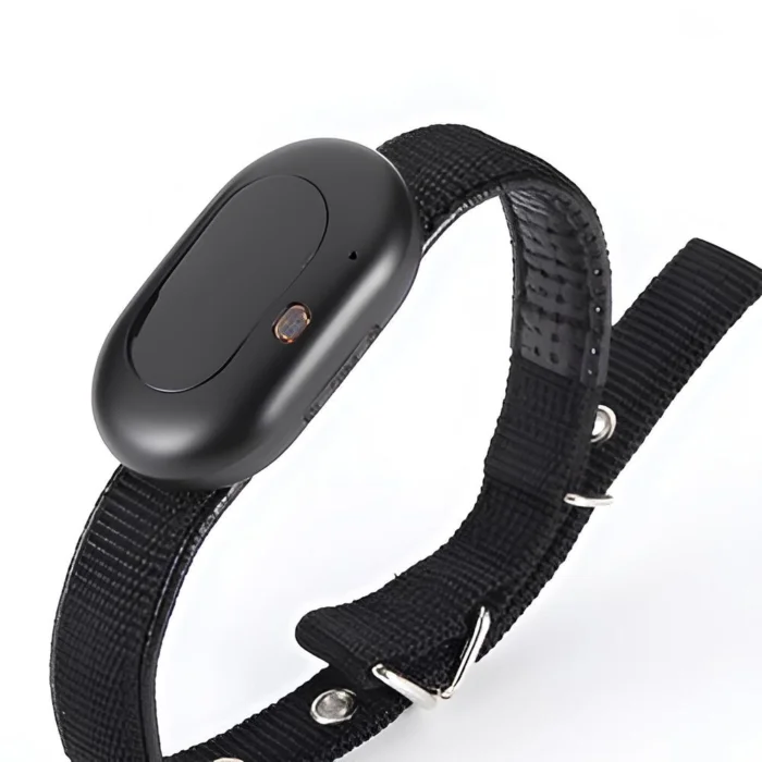 2G og 4G GPS tracker til hund og kat med gratis app - Billede 10