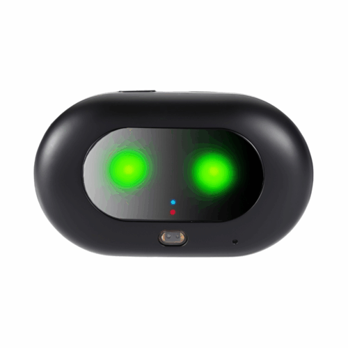 2G og 4G GPS tracker til hund og kat med gratis app