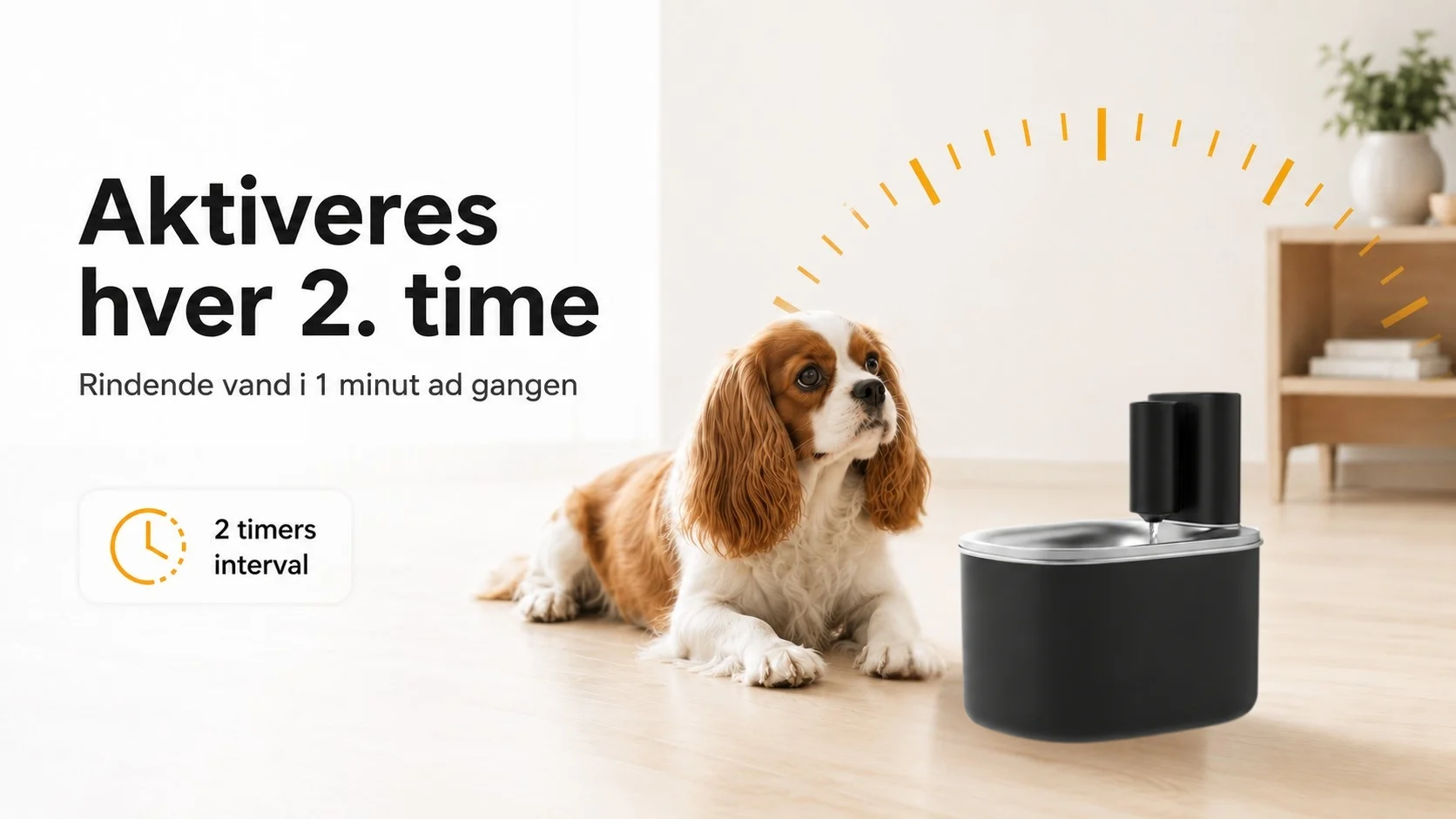 drikkefontæne med hund