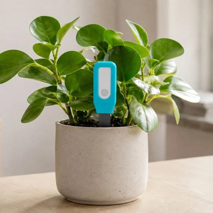 WiFi jordfugtighedsmåler og temperatursensor til planter i plante